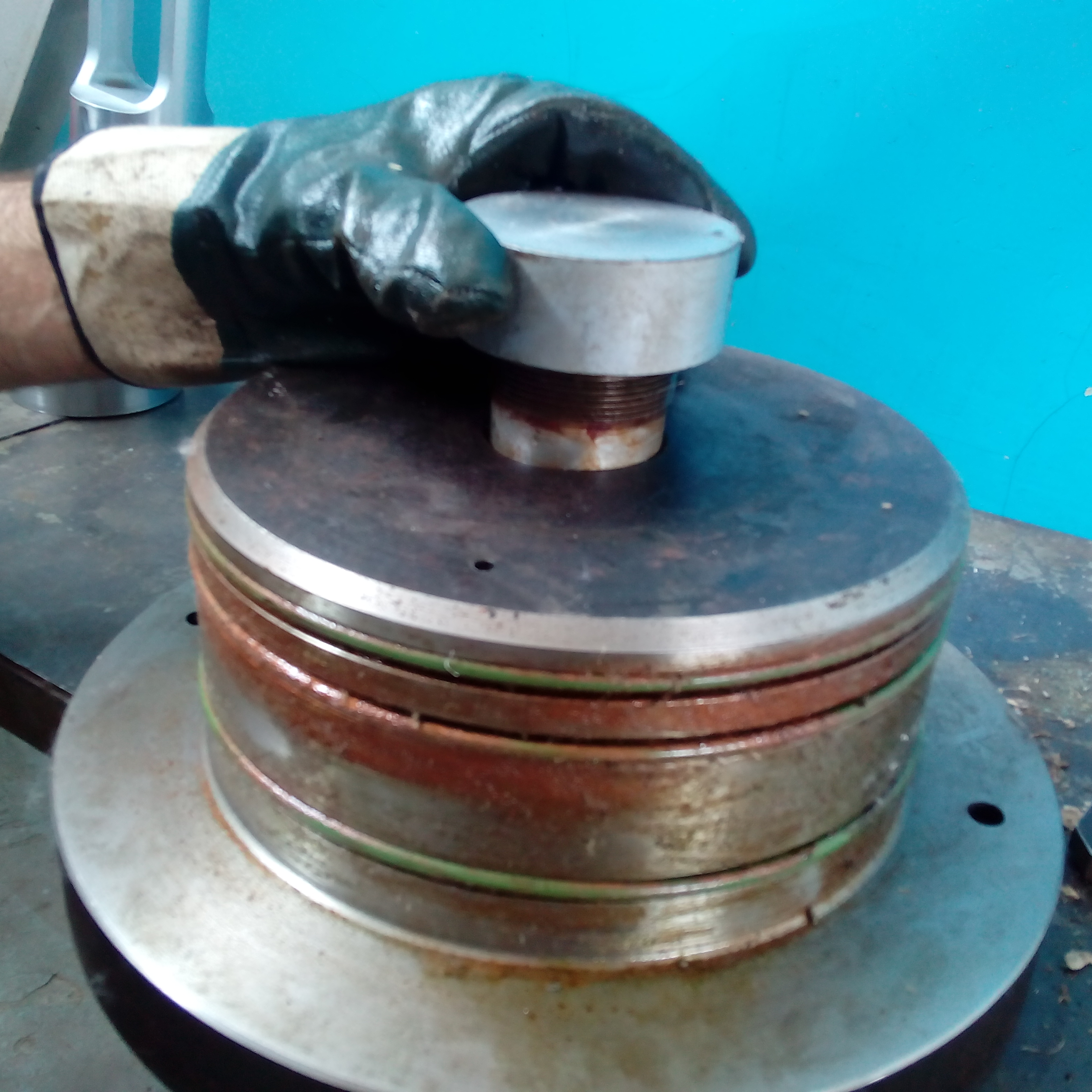 Electronic Audit & Inspection Services