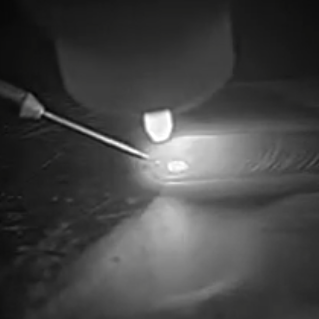 Electronic Audit & Inspection Services